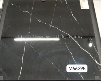 M66295 (60x60cm)