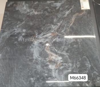 M66348 (60X60cm)