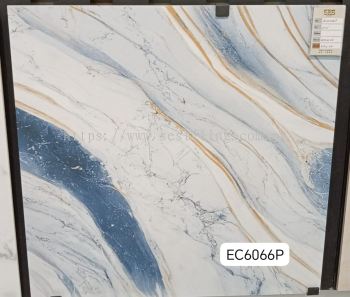 EC6606P (60X60cm)