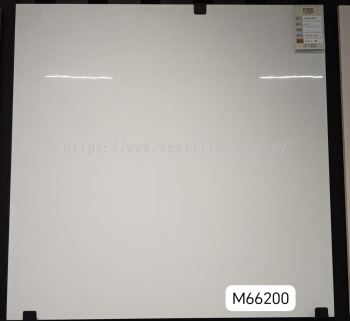 M66200 (60X60cm)