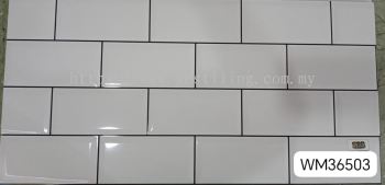 WM36503 (30cmx60cm)