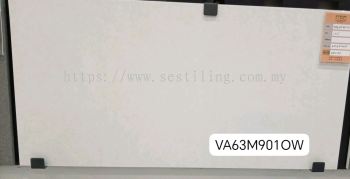 VA63M901OW (30cmX60cm)