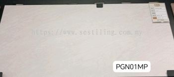 PGN01MP (30cmX60cm)