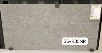 SS-R0S5NR (30X60cm)