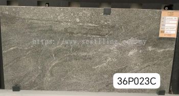 36P023C (30X60cm)