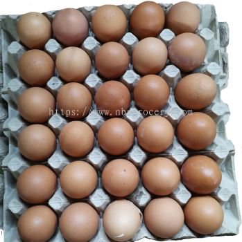 Egg 30's ���� Telur