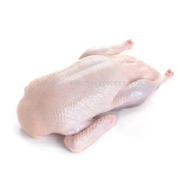 EDEN DUCK PAKING 2.3KG 鸭