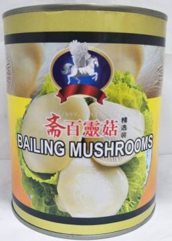 TM BAILING MUSHROOM 850G 天马牌白灵菇