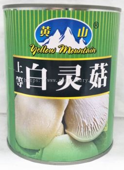 YELLOW MOUNTAIN BAILING MUSHROOM 850G ɽ鹽