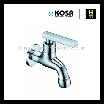 Kosa Wall Mounted Bib Tap (Brass) KT008WBT