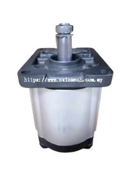 ASR Hydraulic Pump 2VP16DLJ39Z03