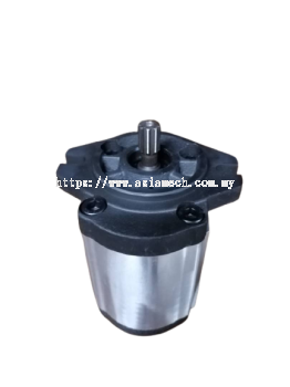 ASR Hydraulic Pump 2VP19DL08S170