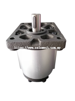 ASR Hydraulic Pump 3VP40DL03P22