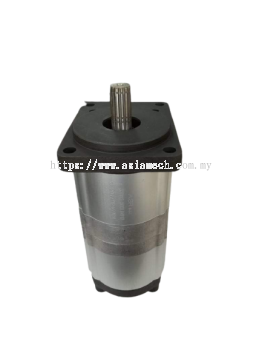 ASR Hydraulic Pump 307012-5000-04910