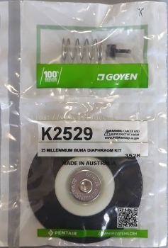 K2529 Goyen Diaphragm Kit