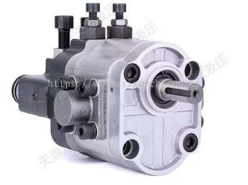 CBS-D310 Hydraulic pump 