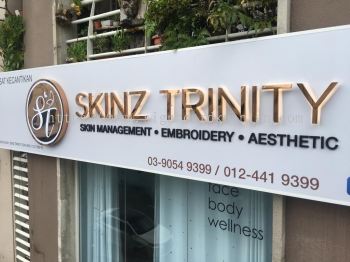 SKINZ TRINITY STAINLESS STEEL 3D BOX UP SIGNAGE AT KUANTAN