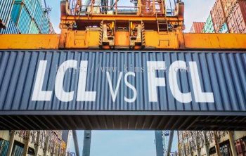 FCL & LCL Service ( Import-Export dry/ general & reefer cargo)