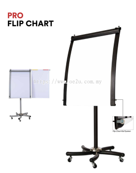 PRO Flip Chart