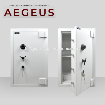AEGIS S5 Home Safe_480kg