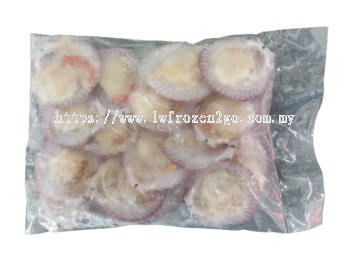 Half Shell Pink Scallop 500gm