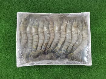 Tiger Prawn 1kg＋-