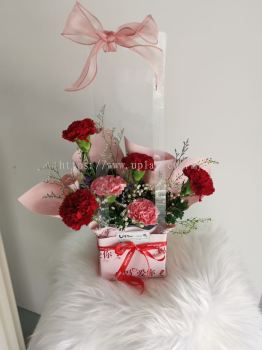 FLOWER WITH BOX ( 6 CARNATION )