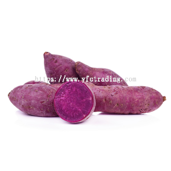 Honey Sweet Potato (Purple) Indonesia 