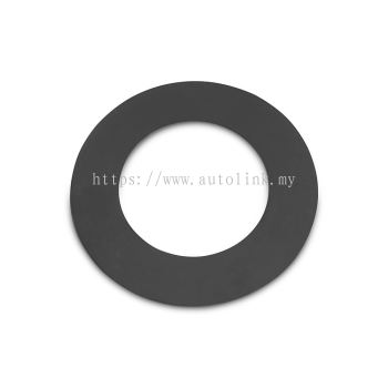 DIFFERENTIAL THRUST WASHER