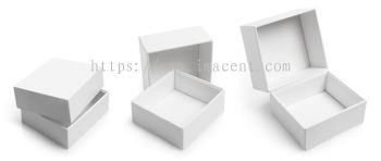 Packaging Box