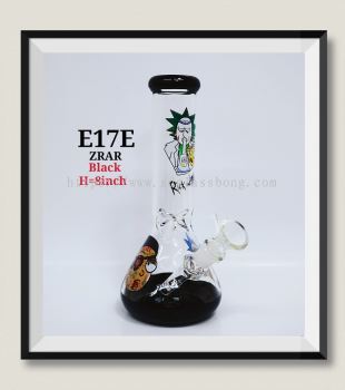 E17E