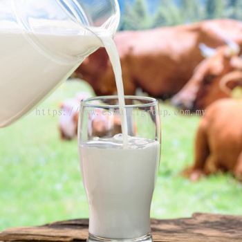 Dairy Milk Cattle