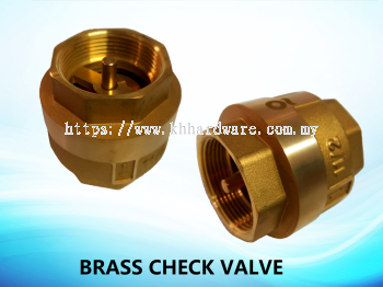 BRASS CHECK VALVE