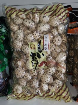 ׻ Snow White Shiitake Mushroom