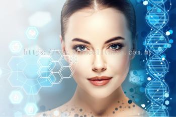 Stem Cell for Health & Anti-aging Treatment