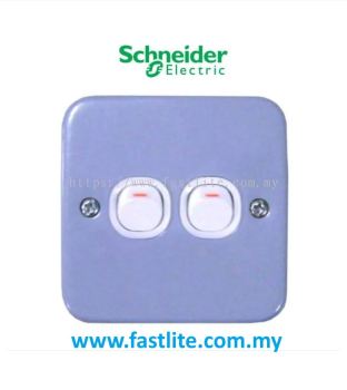 Schneider ESM32 10A 2G 1W Metalclad Switch