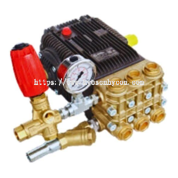 High Pressure Cleaner Bare Pump XW30.25N