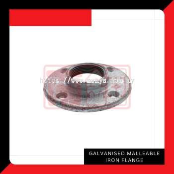 Galvanised Malleable Iron Flanges