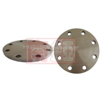 Stainless Steel Flat Face Blank Flanges