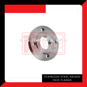 Stainless Steel Raised Face Flanges