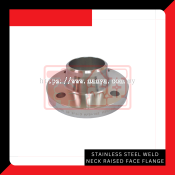 Stainless Steel Weld Neck Raised Face Flanges