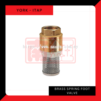 Brass Spring Foot Valves 