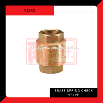 Brass Spring Check Valves