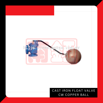 C.I Float Valve CW Copper Ball