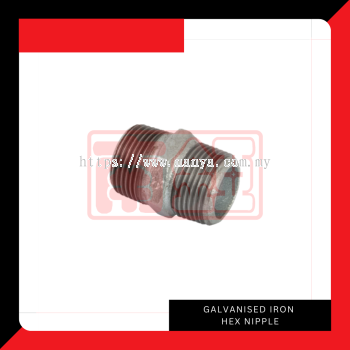 GI Hex Nipple (Galvanised Iron)