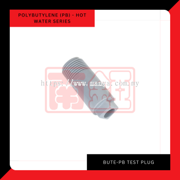 Bute PB -Fitting Plug