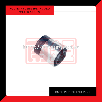 Bute PE - Pipe End Plug