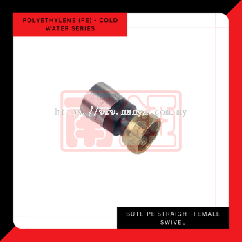 Bute PE - Straight Female Swivel