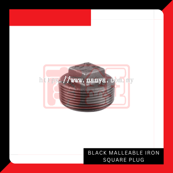 Black Malleable Iron Square Plug