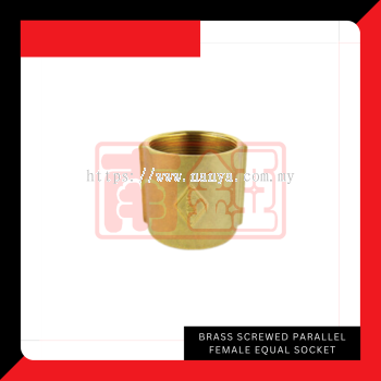 Brass Screwed Parallel Female Equal Socket